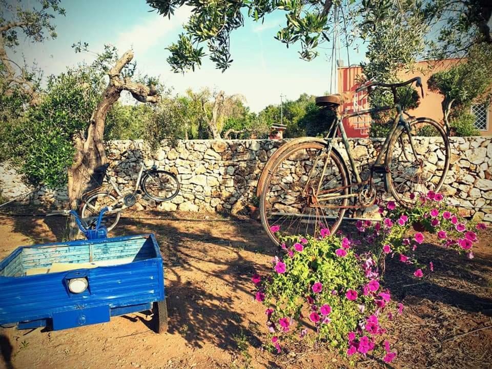 Ferienwohnung Oasi San Pio Porto Cesareo Exterior foto