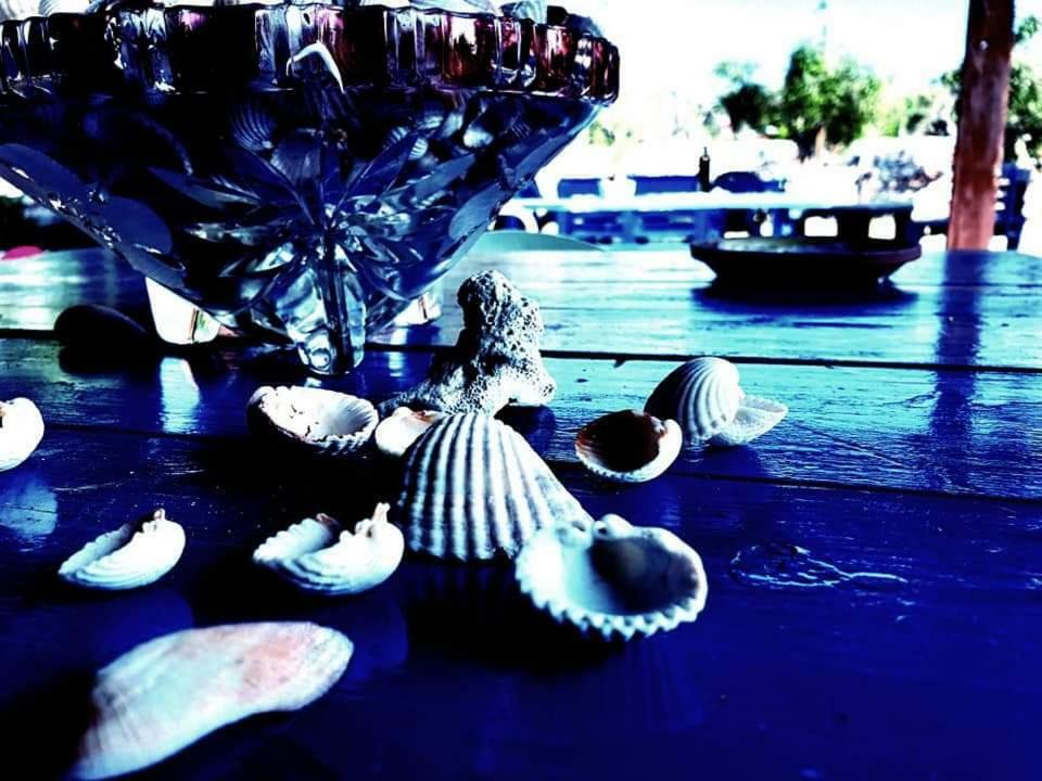 Ferienwohnung Oasi San Pio Porto Cesareo Exterior foto